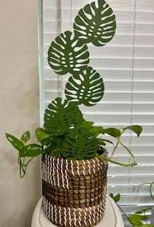 Monstera Leaves Plant Trellis 18"